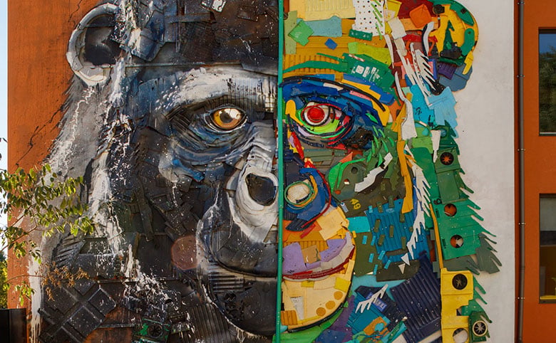 detalle-mono_coimbra.jpg