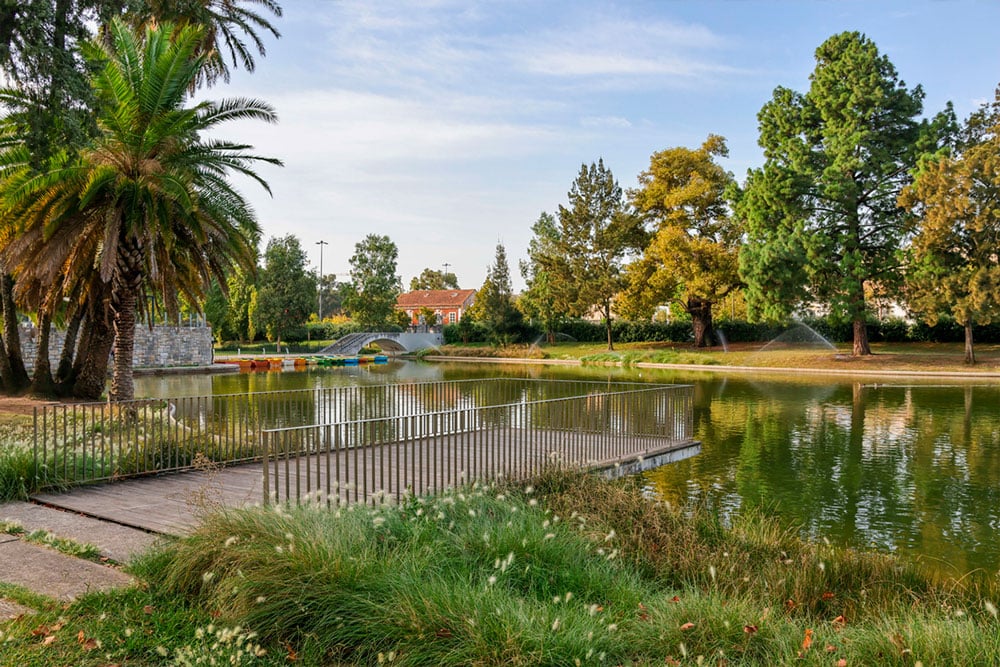 Jardim-Campo-Grande