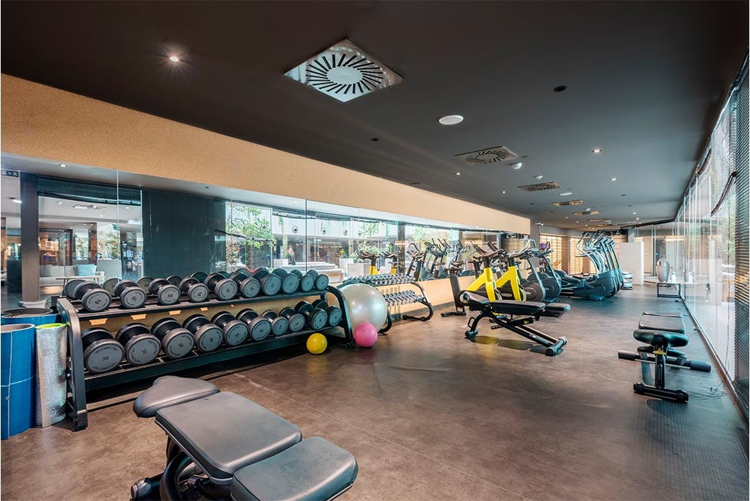 Palestra
