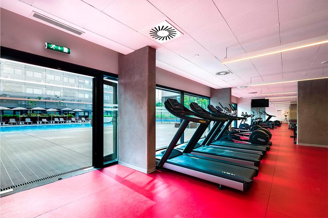Gimnasio