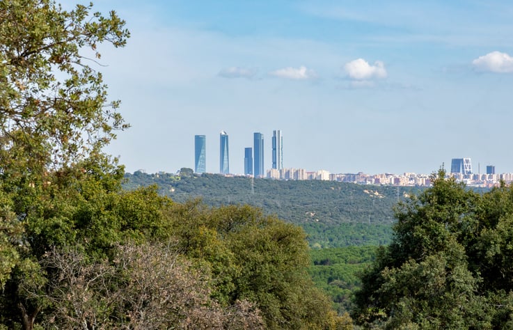 Monte-el-Pardo