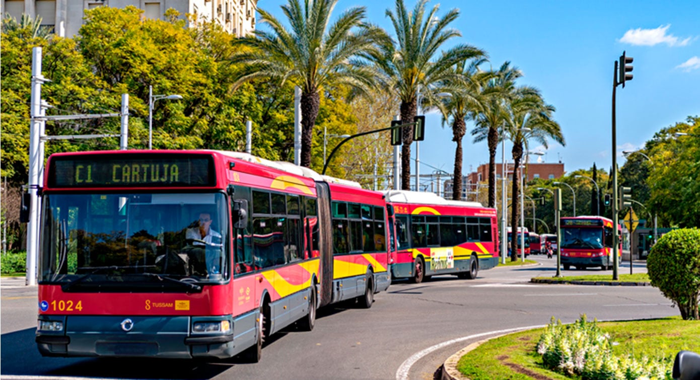 livensa-sevilla-ciudad-bus.jpg