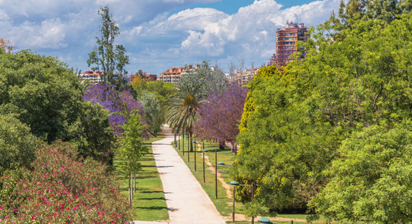 Parque