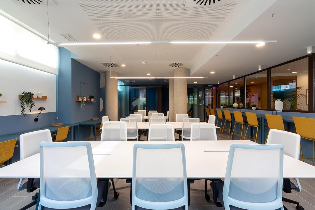 livensa-studios-valencia-malvarrosa-biblioteca.jpg