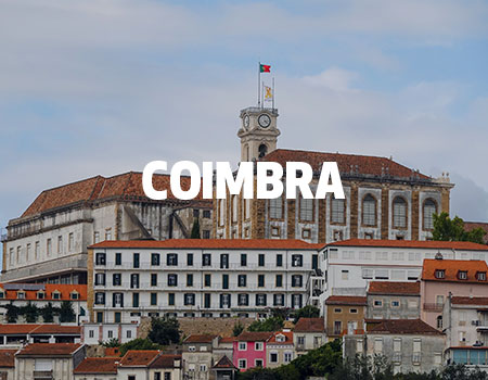 Coimbra Livensa Traveler