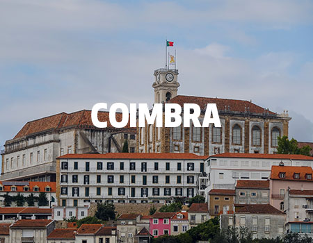 Coimbra Livensa Traveler Promo