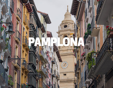 Pamplona Livensa Traveler