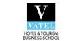 Vatel Partners